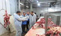 عزم اداره کل دامپزشکی کهگیلویه و بویر احمد برای اصلاح  زیرساخت‌های کشتارگاه یاسوج در جهت تضمین امنیت غذایی